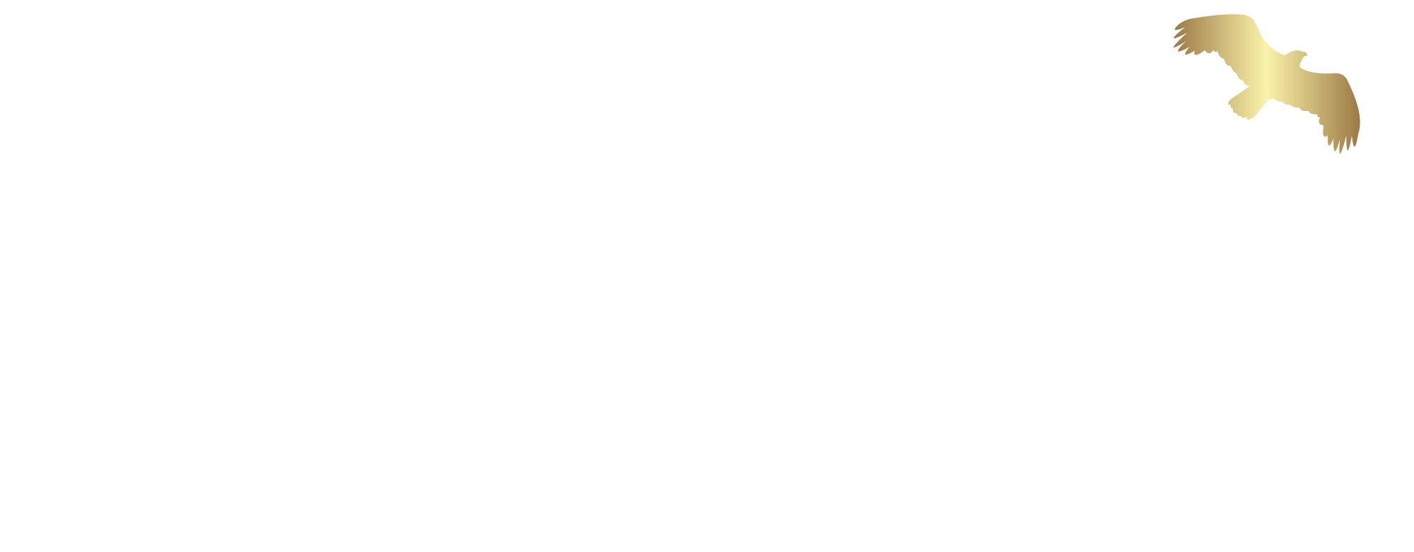FlowTech AI Logo